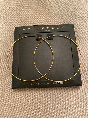 Gold Endless Hoop Earrings